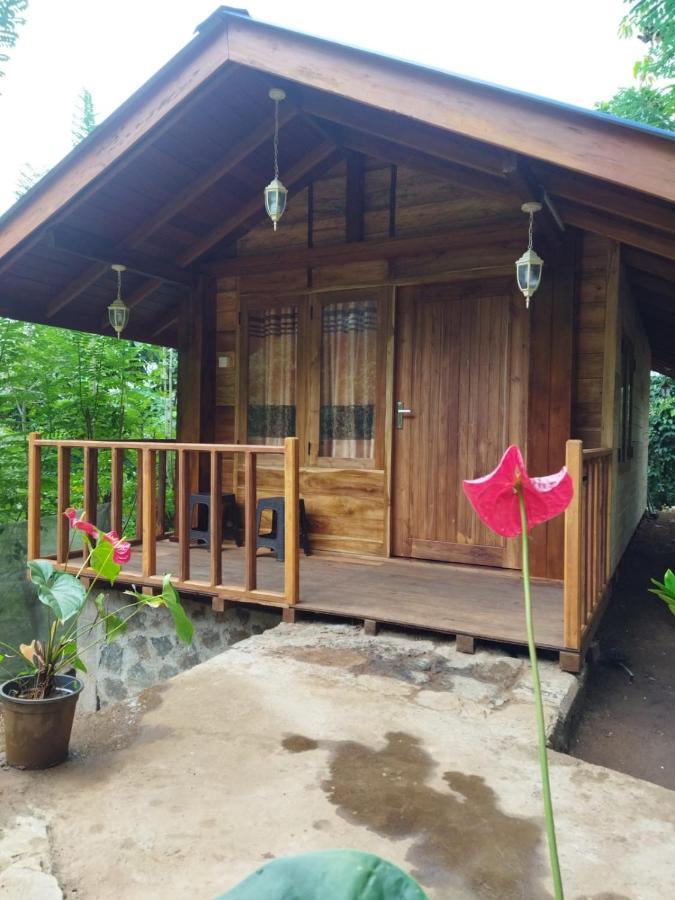 Отель Diyaluma View Cotage Koslanda Экстерьер фото