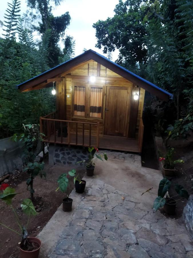 Отель Diyaluma View Cotage Koslanda Экстерьер фото