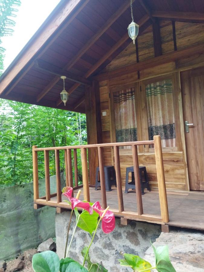 Отель Diyaluma View Cotage Koslanda Экстерьер фото