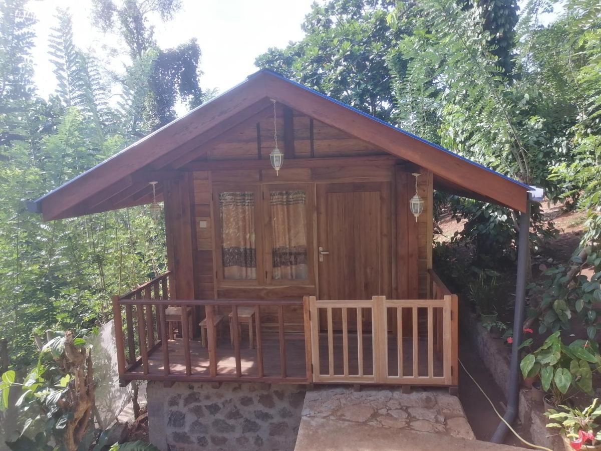 Отель Diyaluma View Cotage Koslanda Экстерьер фото