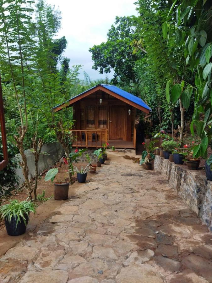 Отель Diyaluma View Cotage Koslanda Экстерьер фото